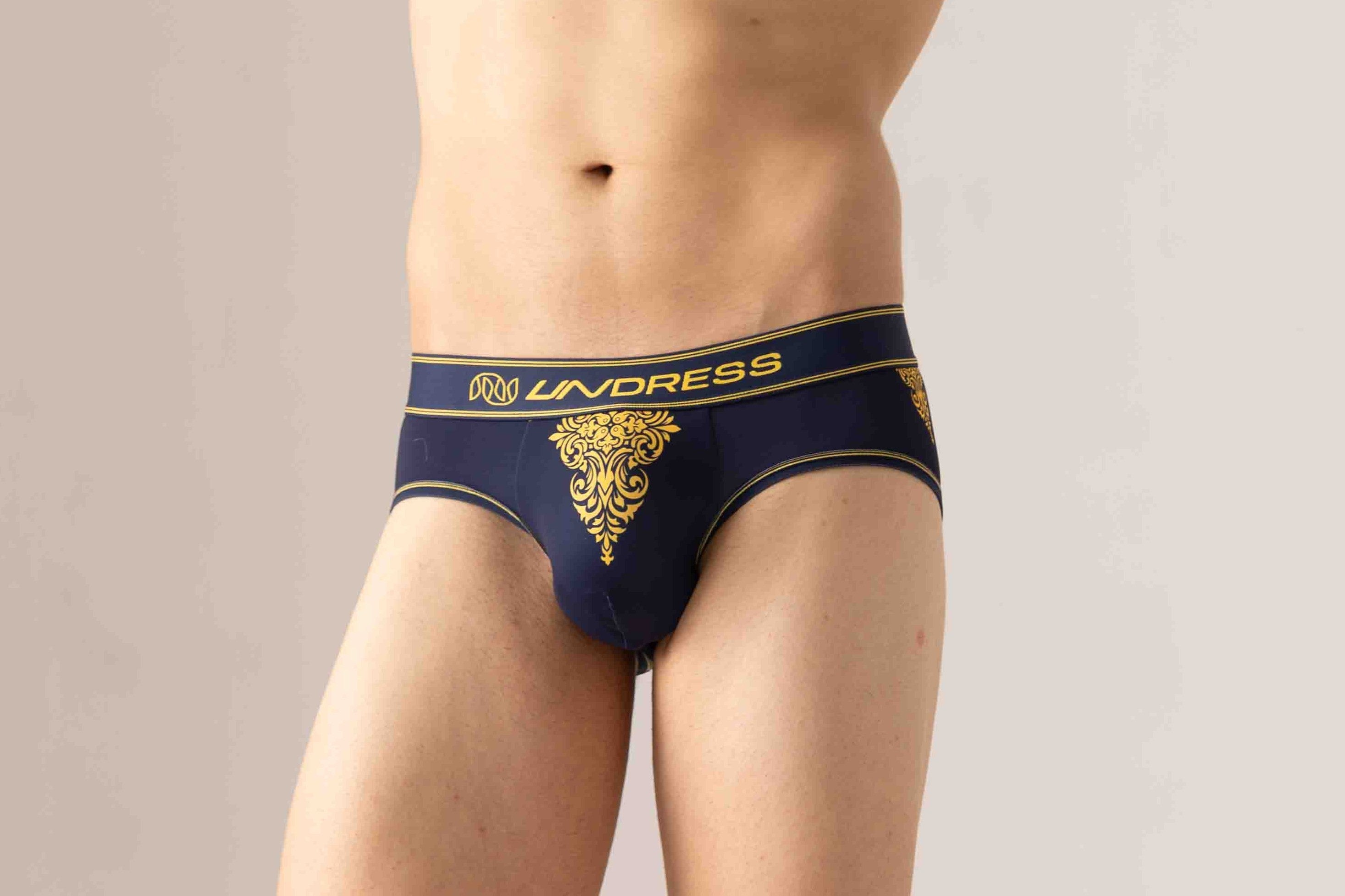 Briefs